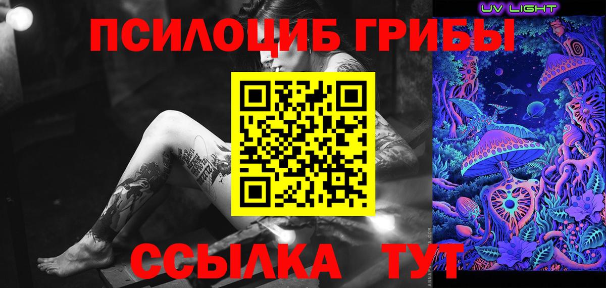 где купить   Псилоцибиновые грибы Cubensis  Вход с VPN  Калач-на-Дону 