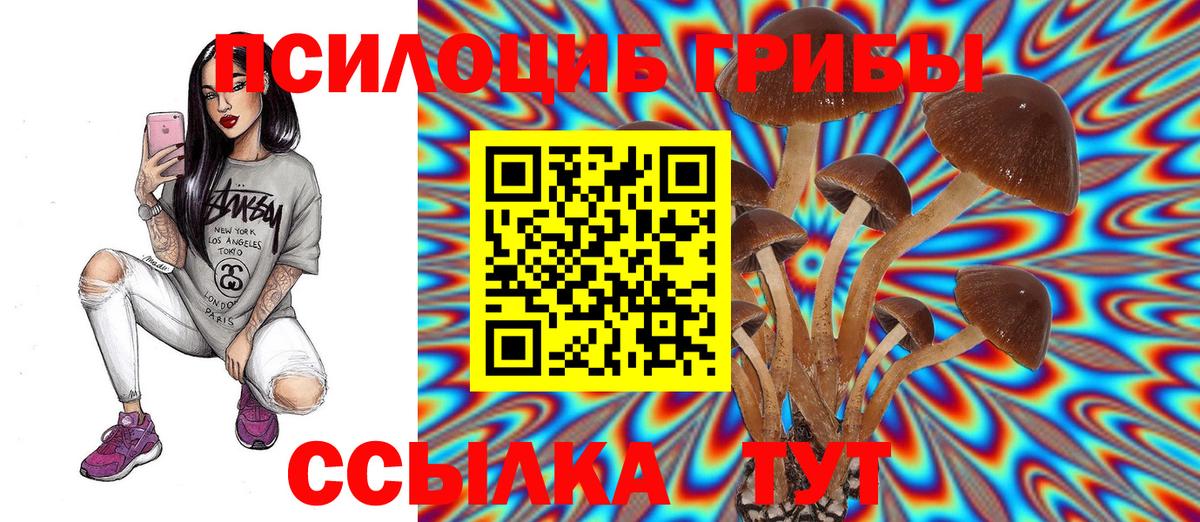 Галлюциногенные грибы GOLDEN TEACHER Калач-на-Дону